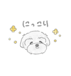 コロとケン（個別スタンプ：11）