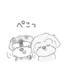コロとケン（個別スタンプ：16）
