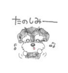 コロとケン（個別スタンプ：18）