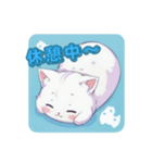 しろねこほっこりスタンプ（個別スタンプ：20）