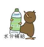 キウィよりかわいいものはないスタンプ1（個別スタンプ：16）
