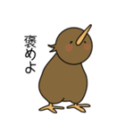 キウィよりかわいいものはないスタンプ1（個別スタンプ：36）