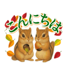 紅葉舞う！秋に毎日送れる可愛いリスたち（個別スタンプ：2）