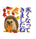 紅葉舞う！秋に毎日送れる可愛いリスたち（個別スタンプ：4）