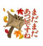紅葉舞う！秋に毎日送れる可愛いリスたち（個別スタンプ：5）