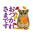紅葉舞う！秋に毎日送れる可愛いリスたち（個別スタンプ：7）