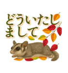 紅葉舞う！秋に毎日送れる可愛いリスたち（個別スタンプ：10）