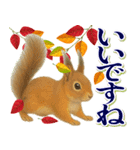 紅葉舞う！秋に毎日送れる可愛いリスたち（個別スタンプ：13）