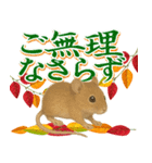 紅葉舞う！秋に毎日送れる可愛いリスたち（個別スタンプ：17）