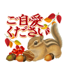 紅葉舞う！秋に毎日送れる可愛いリスたち（個別スタンプ：18）
