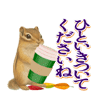 紅葉舞う！秋に毎日送れる可愛いリスたち（個別スタンプ：19）