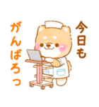 看護師❤️いやしばいぬ❤️柴犬/敬語/仕事（個別スタンプ：4）
