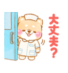 看護師❤️いやしばいぬ❤️柴犬/敬語/仕事（個別スタンプ：14）