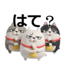 デカ動く3D三匹の擦れねこ（個別スタンプ：2）