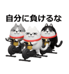 デカ動く3D三匹の擦れねこ（個別スタンプ：20）