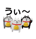 デカ動く3D三匹の擦れねこ（個別スタンプ：22）