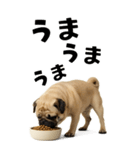 そのままパグ【BIGスタンプ】（個別スタンプ：6）