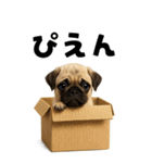 そのままパグ【BIGスタンプ】（個別スタンプ：9）