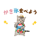 アメショ子猫の夏でか文字（個別スタンプ：19）