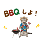 アメショ子猫の夏でか文字（個別スタンプ：21）