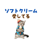 アメショ子猫の夏でか文字（個別スタンプ：24）