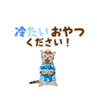 アメショ子猫の夏でか文字（個別スタンプ：25）