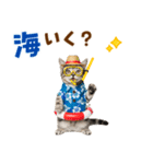 アメショ子猫の夏でか文字（個別スタンプ：26）