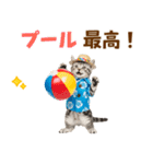 アメショ子猫の夏でか文字（個別スタンプ：27）