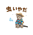 アメショ子猫の夏でか文字（個別スタンプ：28）