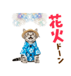 アメショ子猫の夏でか文字（個別スタンプ：29）