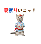 アメショ子猫の夏でか文字（個別スタンプ：30）