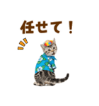 アメショ子猫の夏でか文字（個別スタンプ：34）