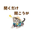 アメショ子猫の夏でか文字（個別スタンプ：37）