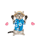 アメショ子猫の夏でか文字（個別スタンプ：40）