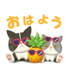 ハチワレコンビのまいにち便り♡夏ver（個別スタンプ：1）