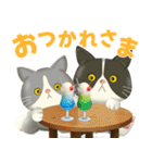 ハチワレコンビのまいにち便り♡夏ver（個別スタンプ：2）