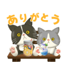 ハチワレコンビのまいにち便り♡夏ver（個別スタンプ：3）