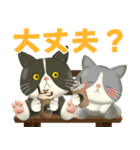 ハチワレコンビのまいにち便り♡夏ver（個別スタンプ：6）
