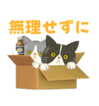 ハチワレコンビのまいにち便り♡夏ver（個別スタンプ：8）