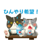 ハチワレコンビのまいにち便り♡夏ver（個別スタンプ：11）