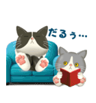 ハチワレコンビのまいにち便り♡夏ver（個別スタンプ：17）