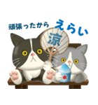 ハチワレコンビのまいにち便り♡夏ver（個別スタンプ：20）