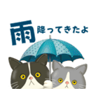ハチワレコンビのまいにち便り♡夏ver（個別スタンプ：22）