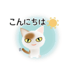 色々な猫1-1 短毛-立ち耳-白に茶ぶち（個別スタンプ：5）
