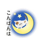 色々な猫1-1 短毛-立ち耳-白に茶ぶち（個別スタンプ：7）