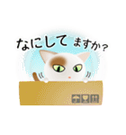 色々な猫1-1 短毛-立ち耳-白に茶ぶち（個別スタンプ：8）
