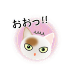色々な猫1-1 短毛-立ち耳-白に茶ぶち（個別スタンプ：10）
