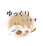 色々な猫1-1 短毛-立ち耳-白に茶ぶち（個別スタンプ：18）