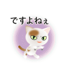 色々な猫1-1 短毛-立ち耳-白に茶ぶち（個別スタンプ：23）