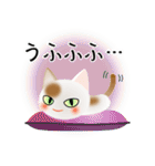 色々な猫1-1 短毛-立ち耳-白に茶ぶち（個別スタンプ：25）